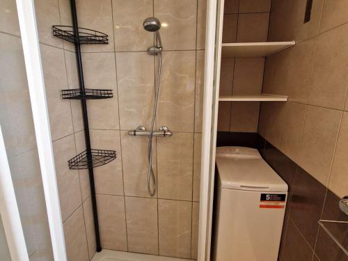 La petite salle de bains est pourvue d'une douche et de toilettes. dans l'établissement Appartement cosy avec piscine, proche commodités et plages, idéal pour familles - FR-1-387-164, à Marseillan