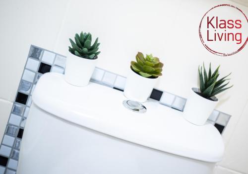 a bathroom with plants on a white sink at Albion Apartment by Klass Living Coatbridge in Coatbridge