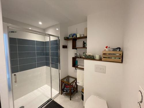 La salle de bains est pourvue d'une cabine de douche et de toilettes. dans l'établissement T2 - terrasse - parking - linge inclu, à Vannes