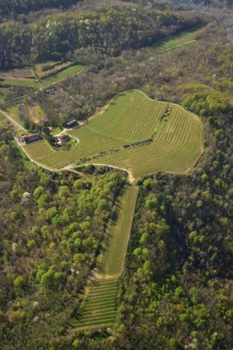 an aerial view of a farm field and trees at Tenuta Valdomini in Attimis
