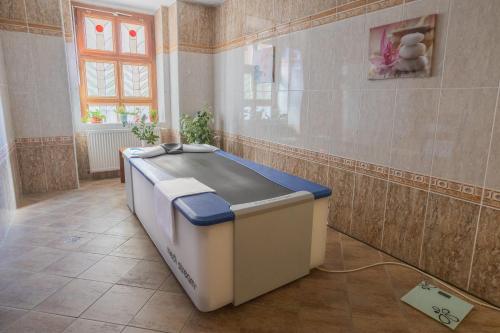 a large bath tub in a room with a window at Hotel Flora in Mariánské Lázně