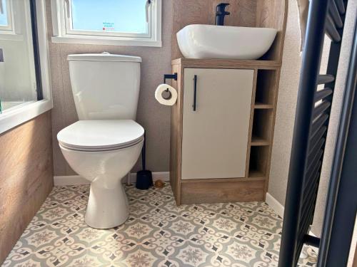a bathroom with a toilet and a sink at Linwater Caravan Park - Luxury Lodges and Static Caravans near Edinburgh in Newbridge