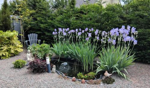 a garden with purple irises and a pond at CHAMBRES D'HÔTES LASSAY'rénité in Lassay