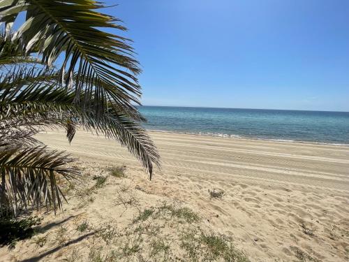 a beach with a palm tree and the ocean at Miroes Suites in Nikiti