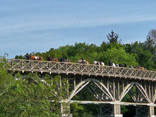 Photo de la galerie de l'établissement Appartement cosy à Hillion, séjour entre mer et campagne, à Hillion
