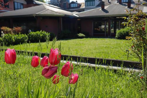a group of red flowers in the grass in front of a house at Monica Hotel Fiera in Pregnana Milanese