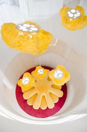 a plate topped with yellow and orange cakes on a table at Five Flowers Hotel Formentera, member of Melia Collection in Es Pujols