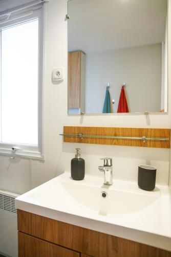 une salle de bain avec un lavabo et un miroir dans l'établissement Fare iti Les Viviers Lège Cap-Ferret, avec climatisation, à Lège-Cap-Ferret