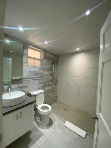 a bathroom with a toilet and a sink and a mirror at Hôtel Le Roy in Christ Church