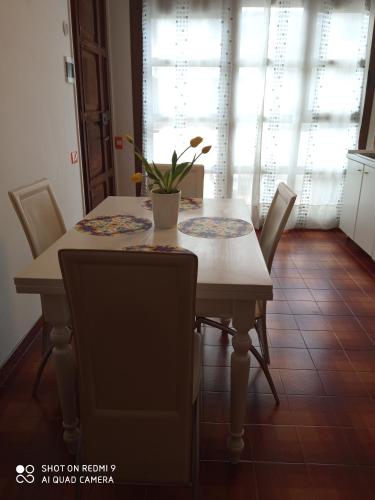 a dining room table with chairs and a plant on it at Appartamento al mare in Eraclea Mare