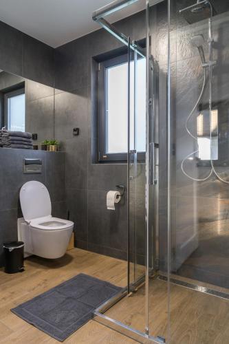 a bathroom with a toilet and a glass shower at DOMINO-domek 1 in Krościenko