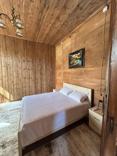 a bedroom with a bed in a wooden wall at Villa Obcha - Whispering Vines Guesthouse in Bagdatʼi
