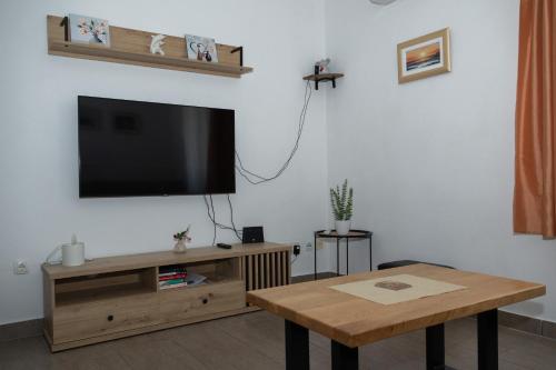 Televízia a/alebo spoločenská miestnosť v ubytovaní Apartman Radošić