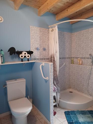 une salle de bain avec toilettes et douche dans l'établissement La Bergerie, à Sost
