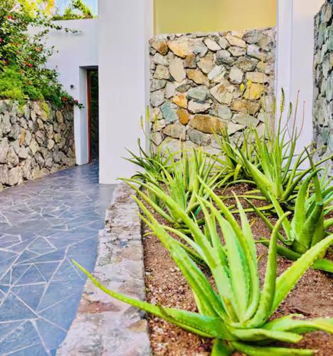 a stone wall and some plants in front of a building at Solace Villa in Little Carrot Bay
