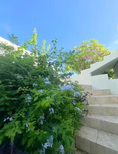 a bush with blue flowers on the side of stairs at Solace Villa in Little Carrot Bay
