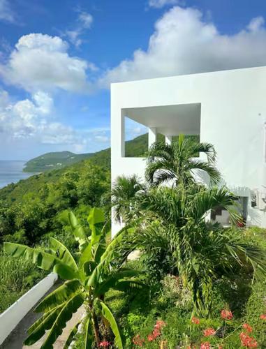 a white house with two palm trees in front of it at Solace Villa in Little Carrot Bay