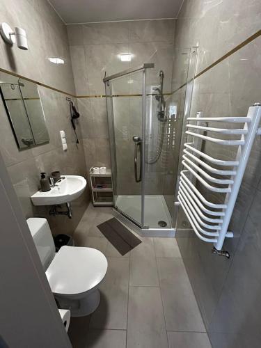 a bathroom with a shower and a toilet and a sink at Willa Lena in Krynica Zdrój