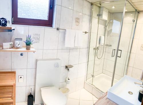 a bathroom with a shower and a toilet and a sink at Hotel zur Loreley - Garni in Sankt Goar