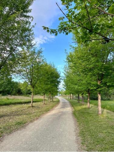 a dirt road with trees on either side at Apartman Sara S in Veliko Gradište