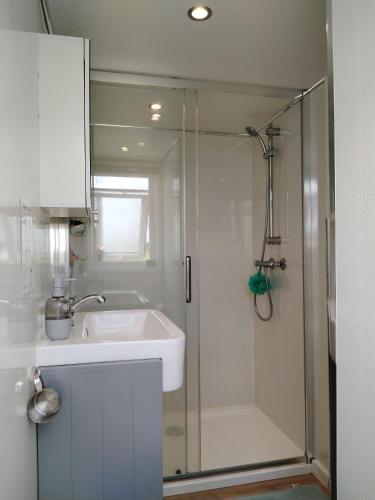 a bathroom with a shower and a sink and a shower at Bracken Heights in Newark-on-Trent