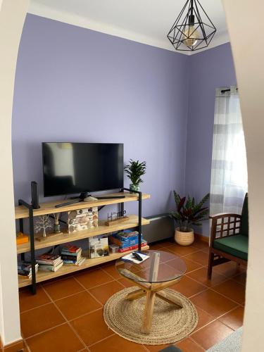 Una sala de estar con televisión y una mesa de café. en Apartamento Vicentino, en Vila Nova de Milfontes
