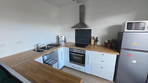 une cuisine avec un réfrigérateur blanc et un évier dans l'établissement Le Majolique Nice and Cozy Apartment, à Rouen