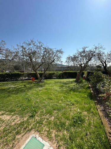 Taman di luar Appartamento con giardino a 10 minuti dal centro