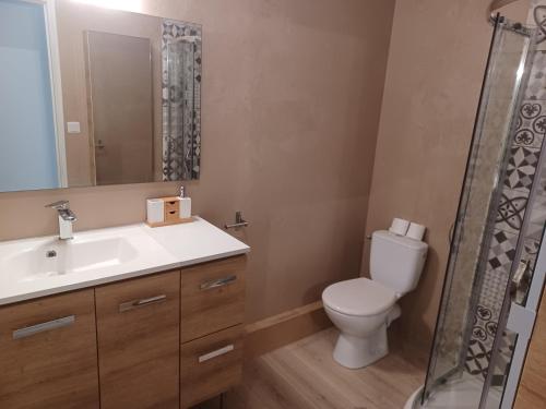 une salle de bain avec toilettes, lavabo et douche dans l'établissement Duplex centre ville, à Ernée