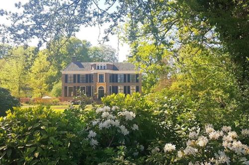 Vườn quanh Pipowagen