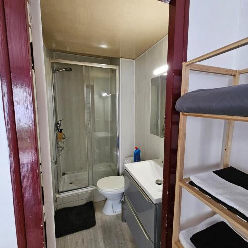 une salle de bain avec une douche, des toilettes et un lavabo dans l'établissement Studio calme avec petit jardinet, à Bordeaux
