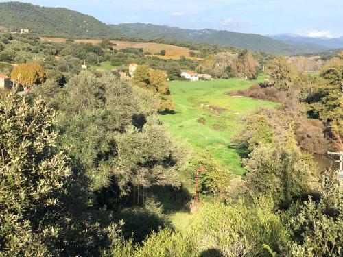 une vue aérienne sur un champ verdoyant planté d'arbres dans l'établissement Lyvia, à Serra-di-Ferro