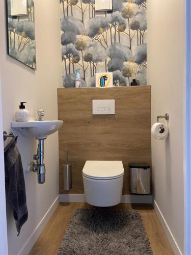 a bathroom with a toilet and a sink at Het Kabinet in Munsterbilzen