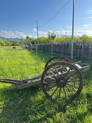 an old wagon sitting in the grass in a field at Villa Obcha - Whispering Vines Guesthouse in Bagdatʼi