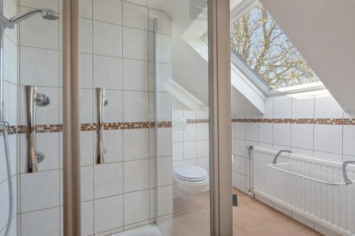a bathroom with a toilet and a skylight at Ferienwohnung 'am Park' in Rabenkirchen-Faulück