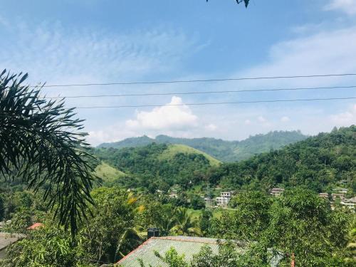 Fotografie z fotogalerie ubytování Badulla Holiday Resort v destinaci Badulla