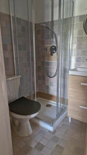 une salle de bain avec une douche avec des toilettes et un lavabo dans l'établissement studio 16 résidence l'espadon, à Saint-Tropez