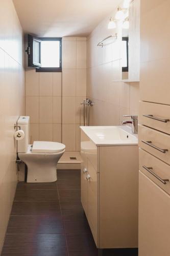 a bathroom with a toilet and a sink at Morfeas Collection in Makry Gialos
