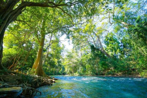 a river in a forest with blue water and trees at VR Nature Cottage CABANA in Wellawaya
