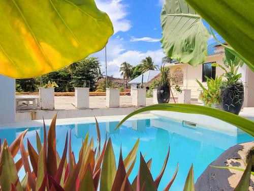 una piscina di fronte a una casa con piante di Luxury Penthouse with private rooftop pool prime location Paje Beach Zanzibar TV WIFI AC steps to the beach a Paje