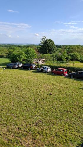 a group of cars parked in a grass field at Maki Village in Bukorovac