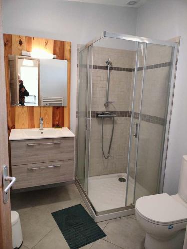 une salle de bain avec une douche, des toilettes et un lavabo dans l'établissement GitesLuberon 4, à Charleval