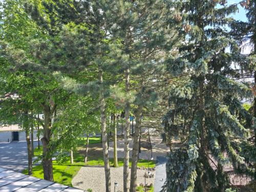 a group of trees in a parking lot at W64 Apartamenty in Płock