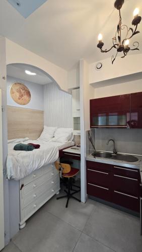 Photo de la galerie de l'établissement studio maisonnette parisien, à Paris