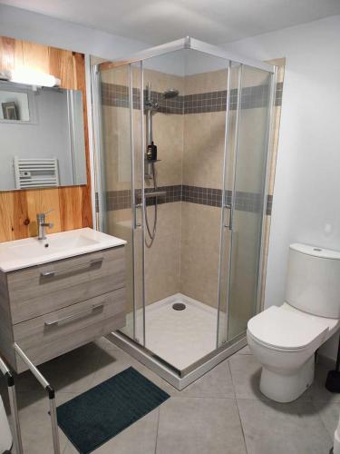 une salle de bain avec une douche avec des toilettes et un lavabo dans l'établissement GitesLuberon 5, à Charleval