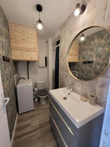 une salle de bain avec un lavabo et un miroir et des toilettes dans l'établissement Appartement 37m2, parking, wifi, clim, centre-ville port, à La Grande Motte