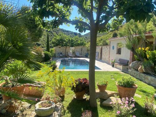 un jardin avec une piscine et quelques plantes et un arbre dans l'établissement The Bastide des Collines, à Aubagne