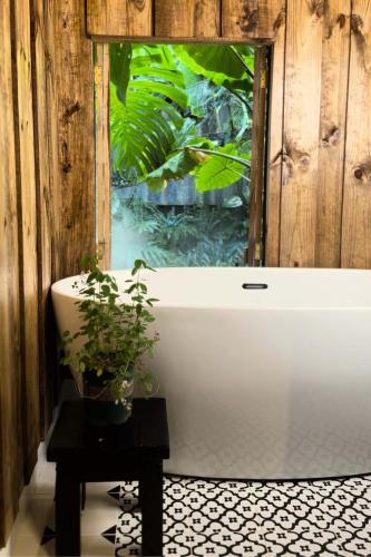 a bathroom with a bath tub with a potted plant at Thỏ Non Garden - Bảo Lộc Center 02 in Bao Loc