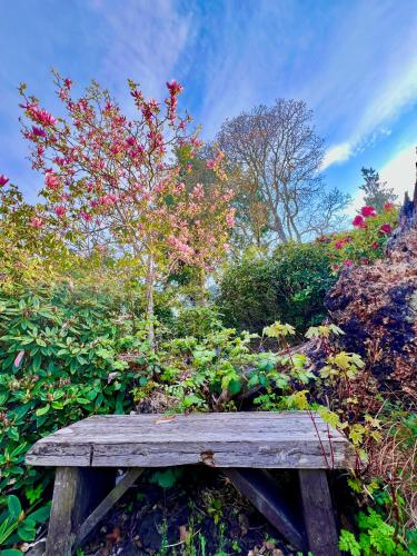 a wooden bench in a garden with a tree at The Low Tide Suite in Nanoose Bay