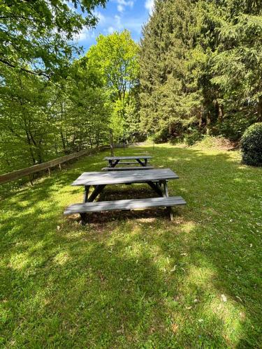 two picnic tables in the grass in a park at Le Vieux Sart 6 Coo - Stavelot in Stavelot